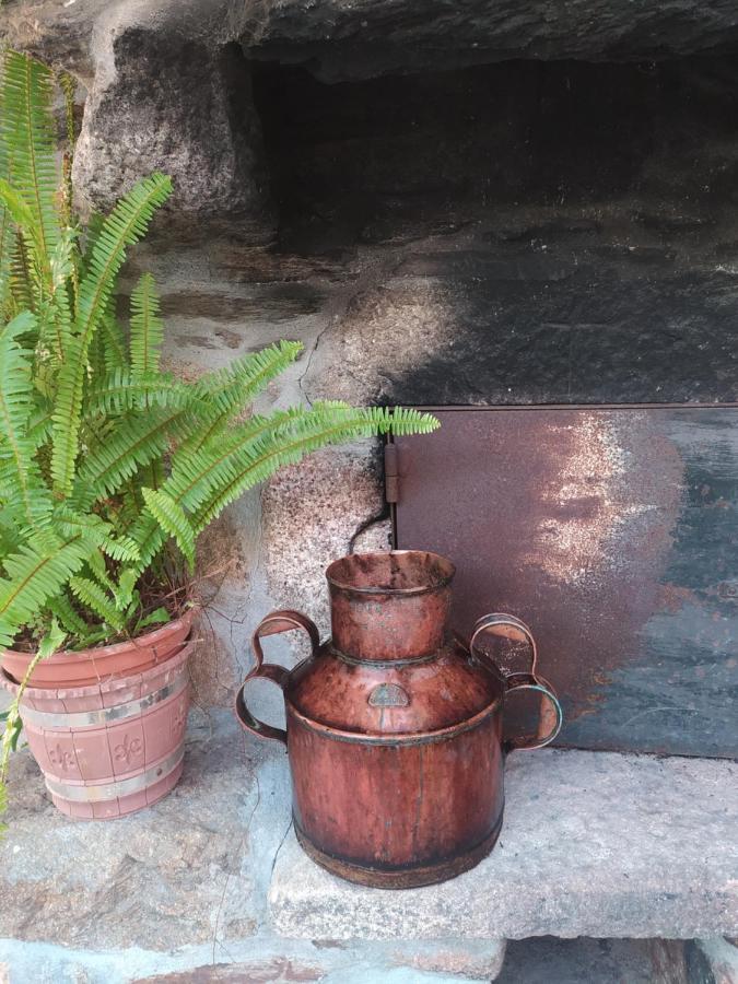 فيلا Casa Do Cuco, Ribeira Sacra أورينس المظهر الخارجي الصورة